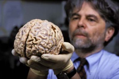 cerebro-humano-dentro-ok.jpg