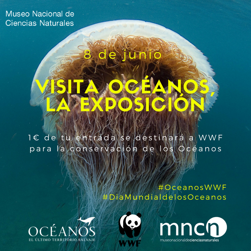 El MNCN celebra por todo lo alto este jueves el Día Mundial de los Océanos