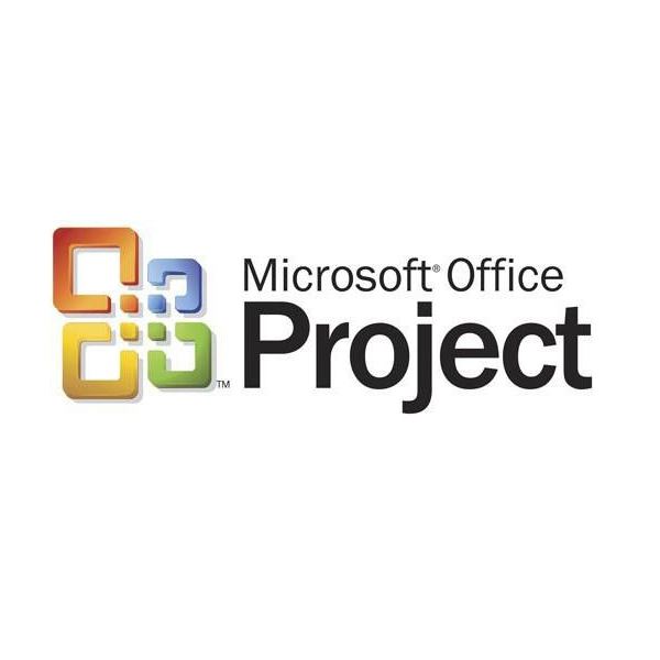 Desventajas de Microsoft Project 