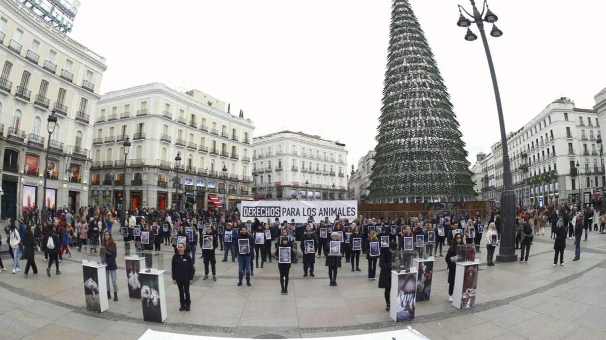 Animalistas reclaman en Madrid que acaben los 